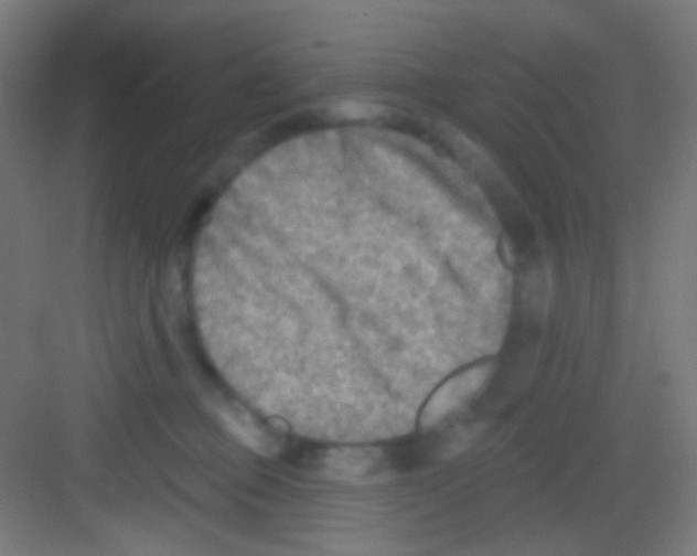 X0000081280373200702081959