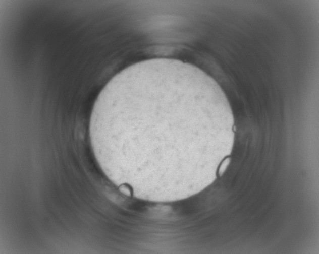 X0000081280374200702081959