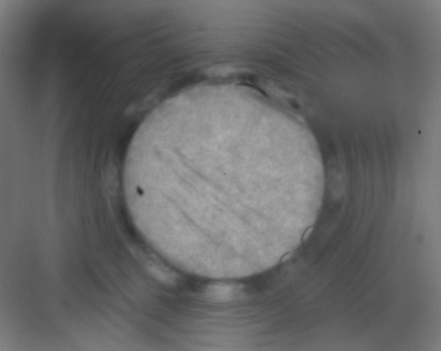 X0000081280375200702081959