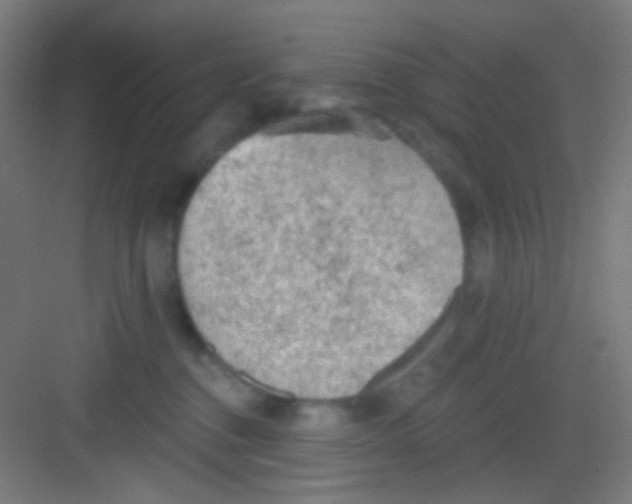 X0000081280376200702081959