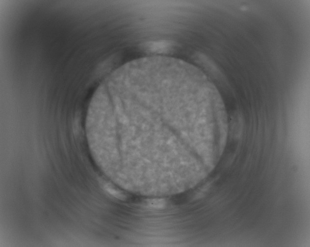 X0000081280377200702081959