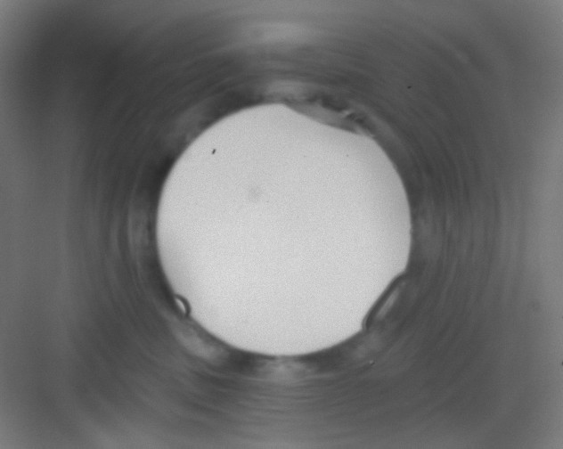 X0000081280379200702081959