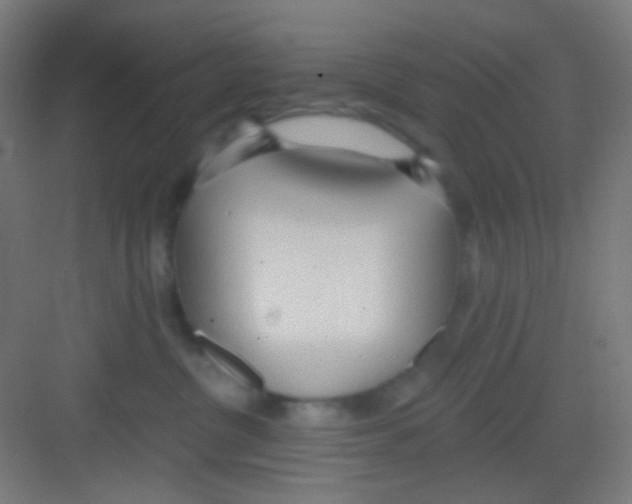 X0000081280380200702081959