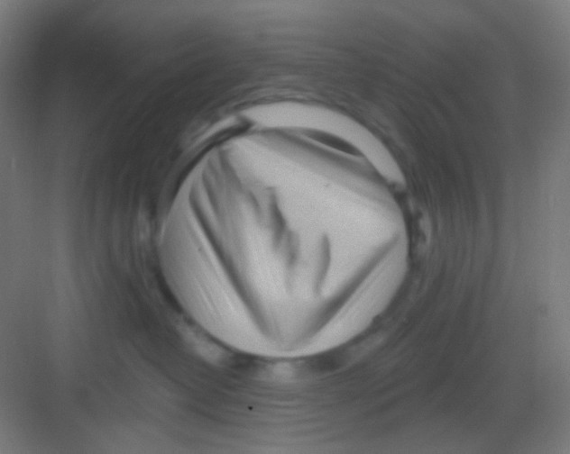 X0000081280382200702081959