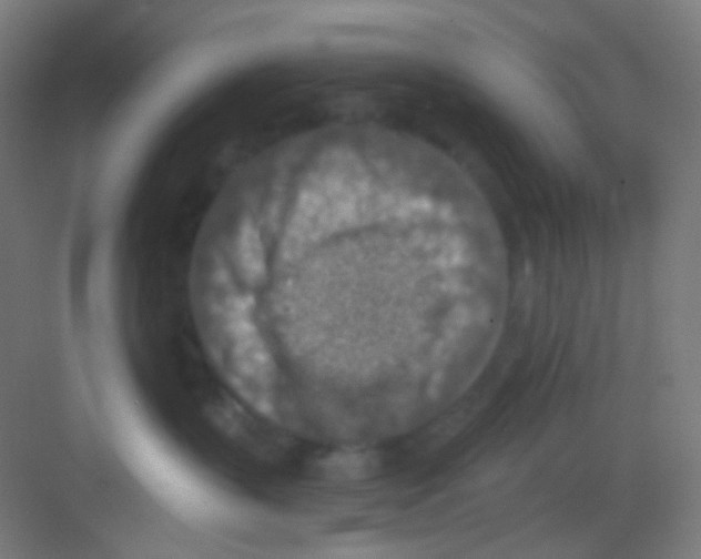 X0000081280383200702081959