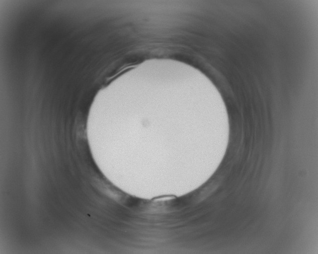 X0000081280384200702081959