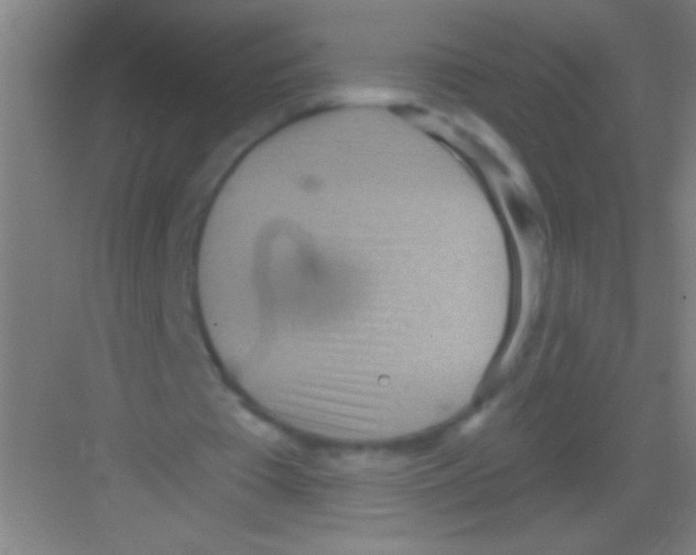 X0000081280385200702081958