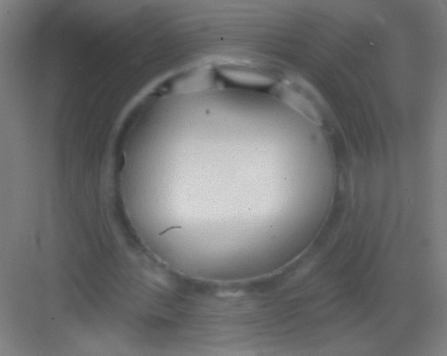 X0000081280388200702081958