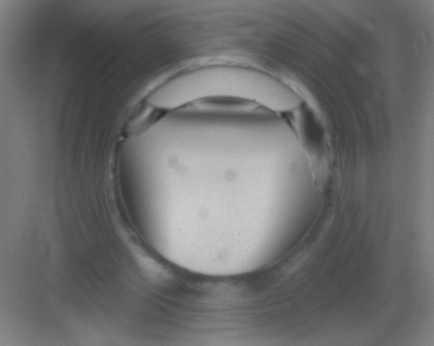 X0000081280389200702081958