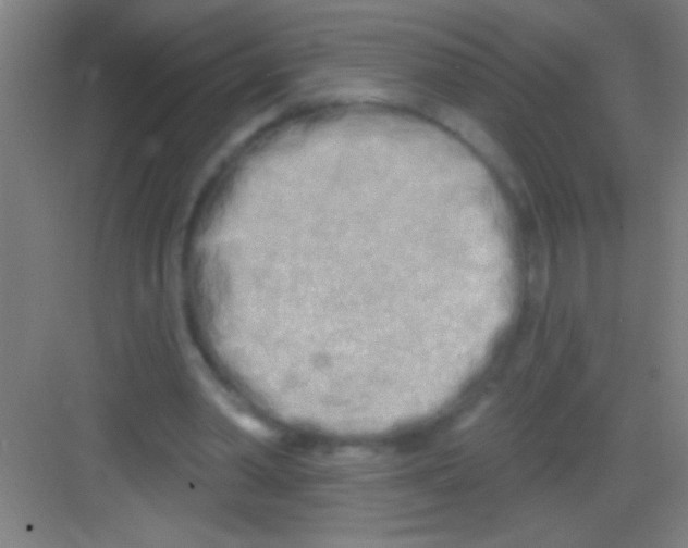 X0000081280390200702081958