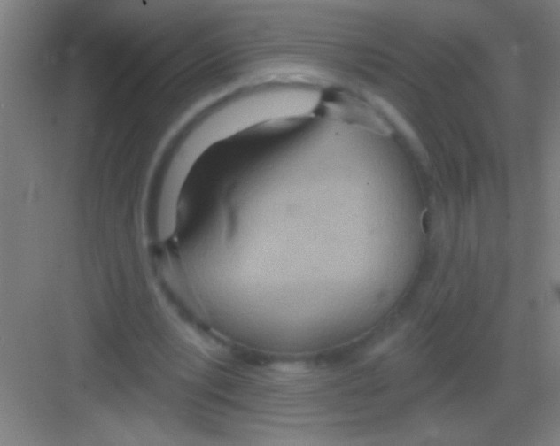 X0000081280391200702081958