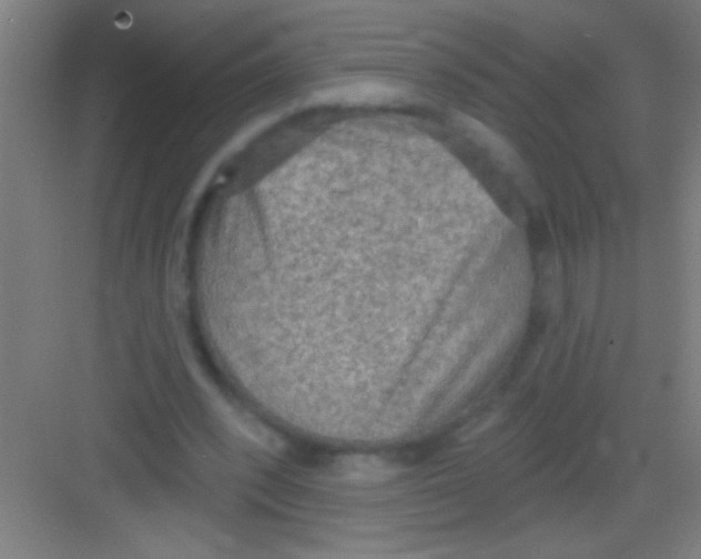 X0000081280392200702081958