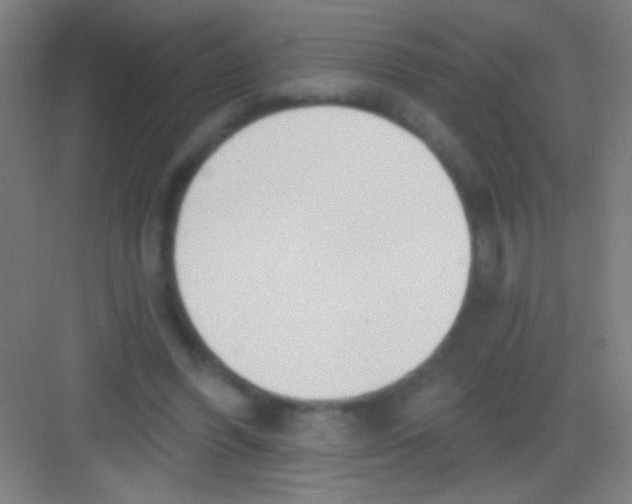 X0000081280396200702081958