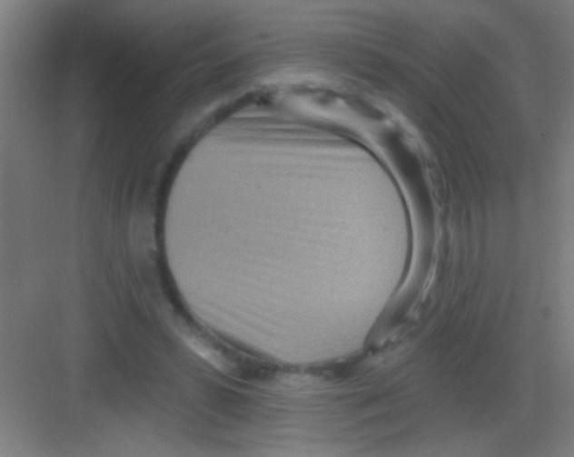 X0000081280399200702081958