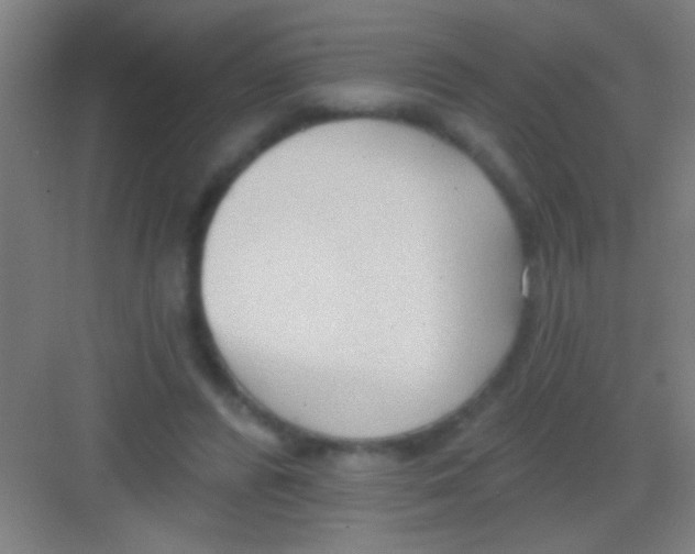 X0000081280400200702081958