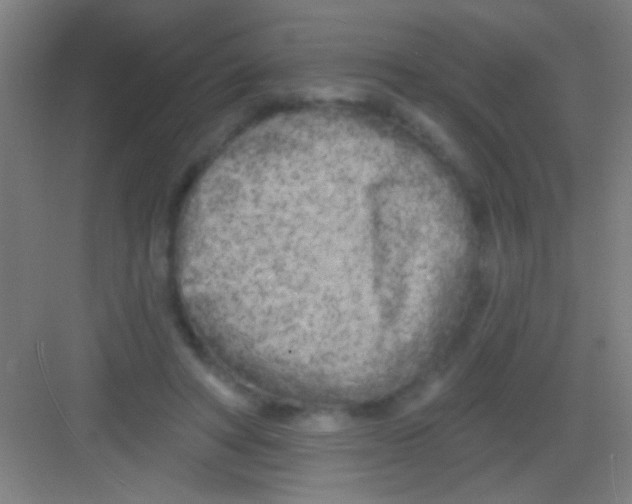 X0000081280402200702081958