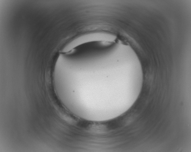 X0000081280403200702081958