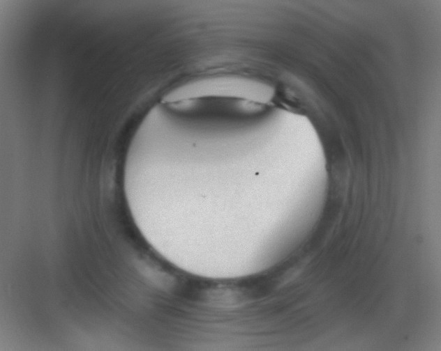 X0000081280404200702081958