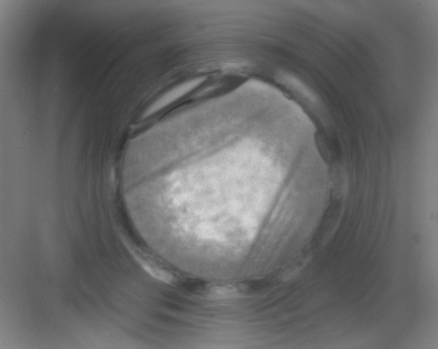 X0000081280405200702081958