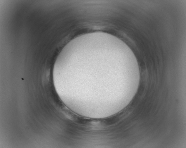 X0000081280406200702081958