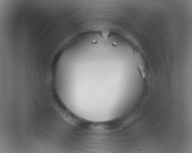 X0000081280407200702081958