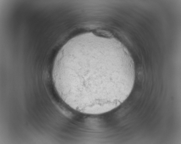 X0000081280408200702081958