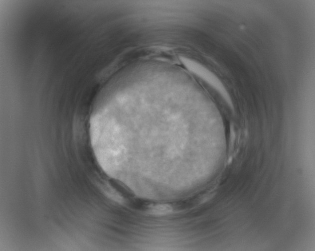 X0000081280409200702081958