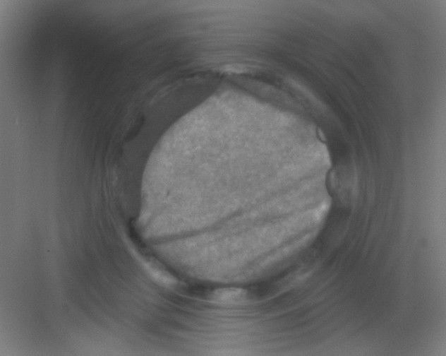 X0000081280410200702081958