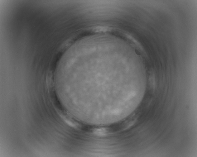 X0000081280411200702081958