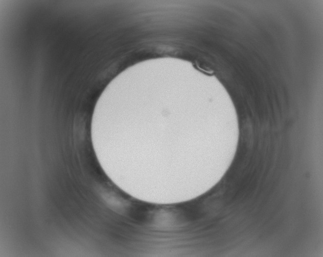 X0000081280412200702081958