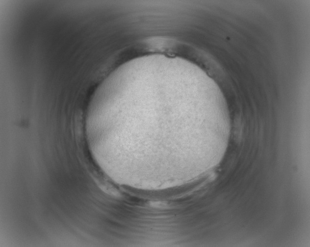 X0000081280413200702081958