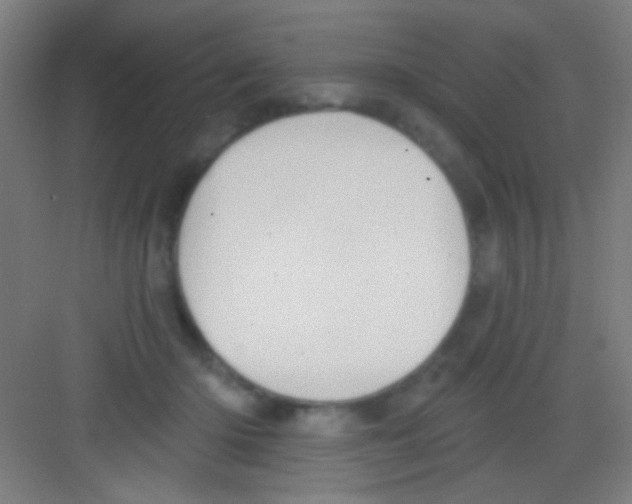 X0000081280414200702081958