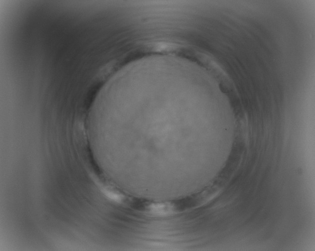 X0000081280415200702081958