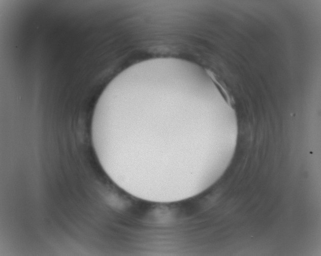 X0000081280416200702081958