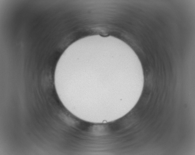 X0000081280418200702081958