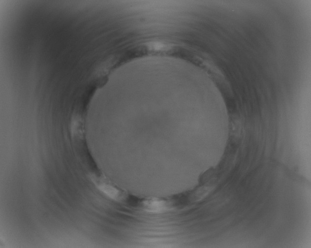 X0000081280419200702081958