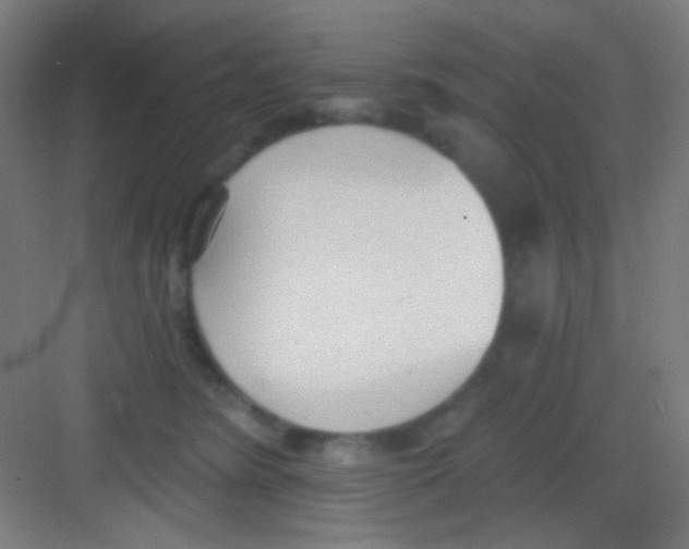 X0000081280420200702081958