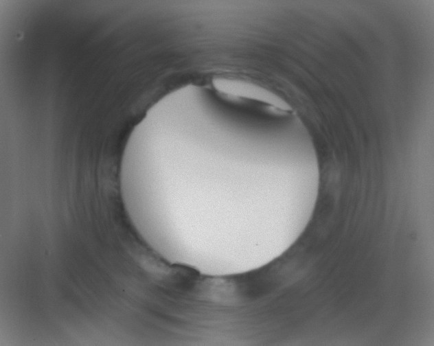 X0000081280421200702081957