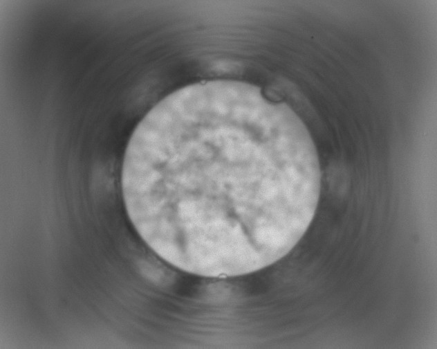 X0000081280423200702081957