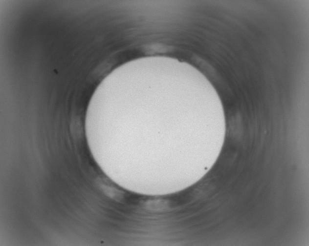 X0000081280426200702081957