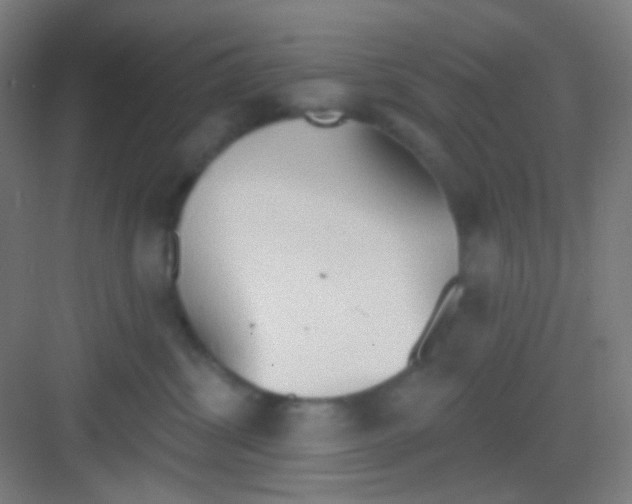 X0000081280428200702081957