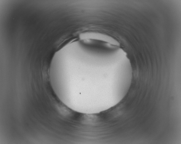 X0000081280429200702081957