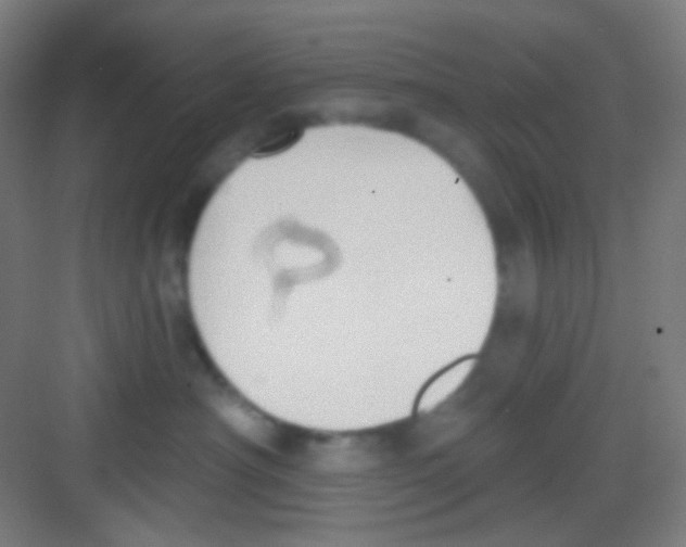 X0000081280430200702081957