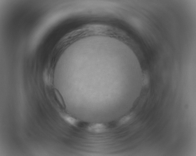 X0000081280431200702081957