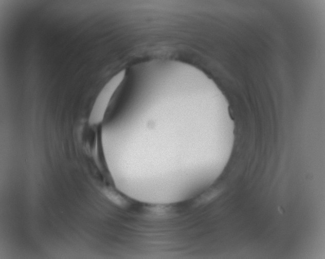 X0000081280432200702081957