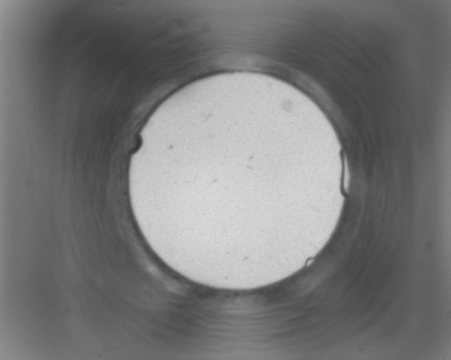 X0000081280433200702081956