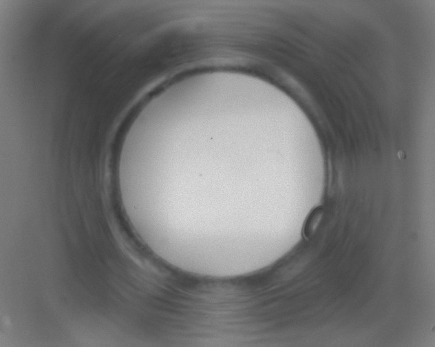 X0000081280435200702081957