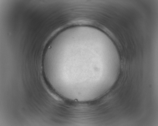 X0000081280438200702081957