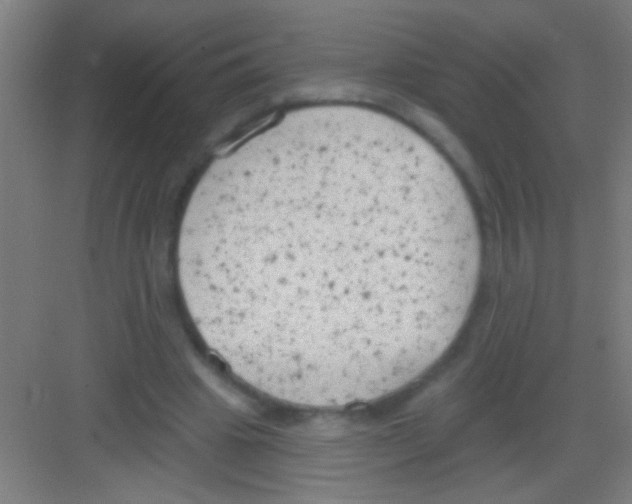 X0000081280441200702081957