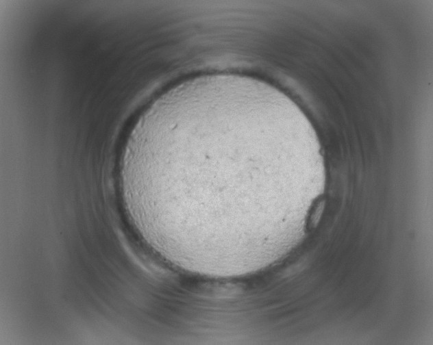 X0000081280443200702081957